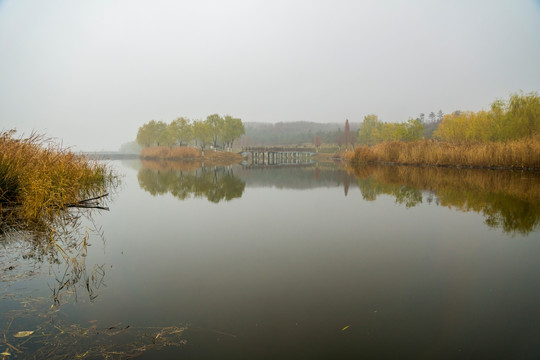 湿地风光