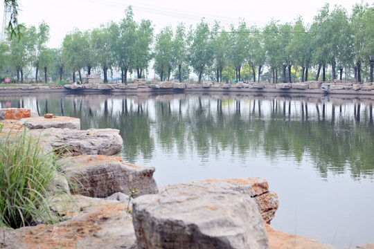 河岸风景 水塘 水池