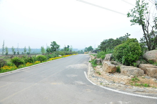 公园风景 公园道路