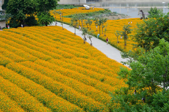 福州花海公园