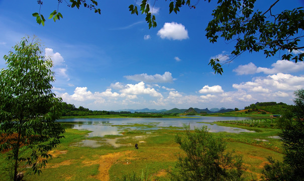 湖泊 湿地