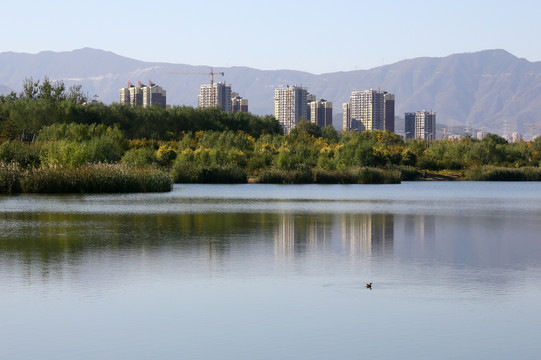 住宅小区