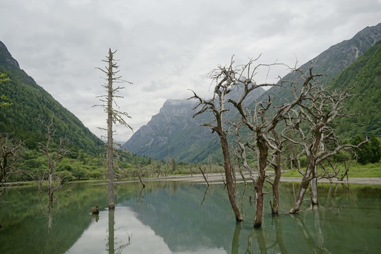 四川阿坝州四姑娘山