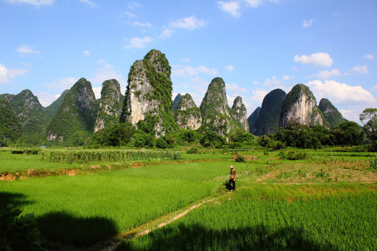 奇峰镇风光