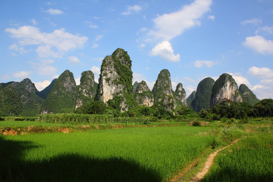 奇峰镇风光