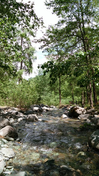 小溪河流