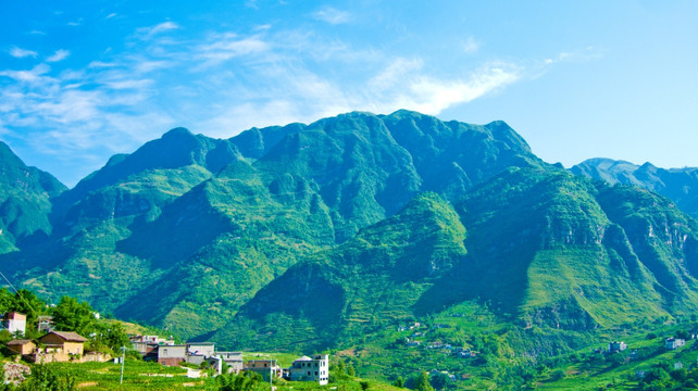 大山人家 青山