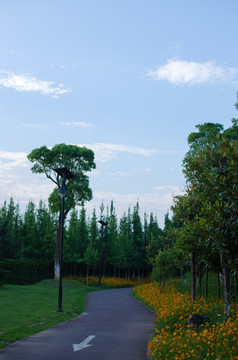 休闲场所 湿地公园一角