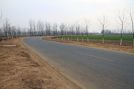 农村道路