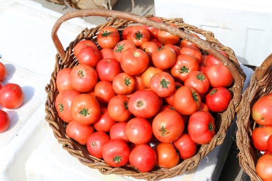 西红柿 蔬菜 柿子 果实