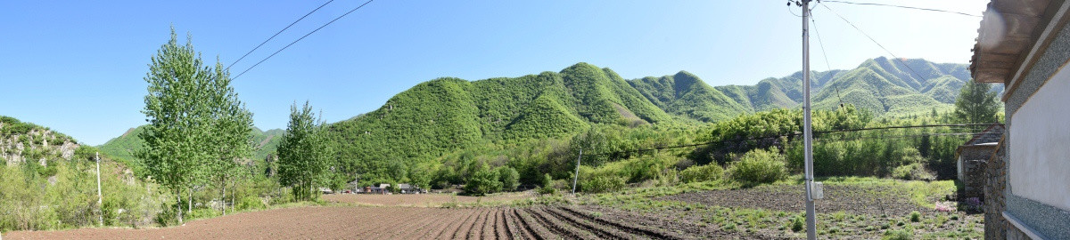 东北农村土地