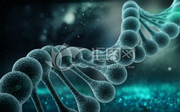 DNA生物鏈