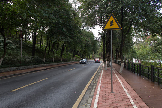 林荫大道 多弯道路牌