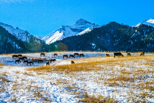 天山山脉冬季雪景