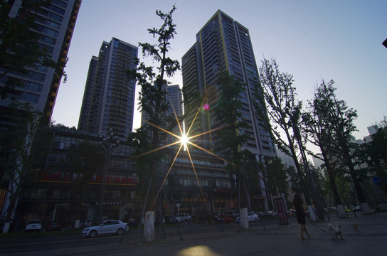 阳光 都市风景