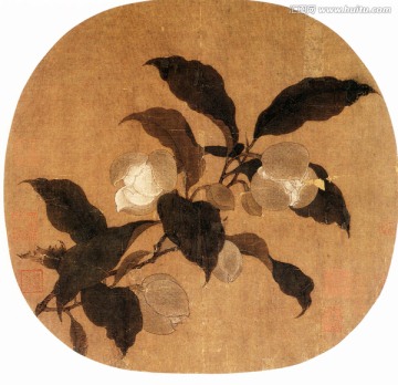 花鳥國畫 夜合花圖