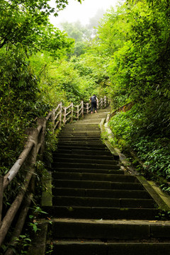 四川峨眉山阶梯山路