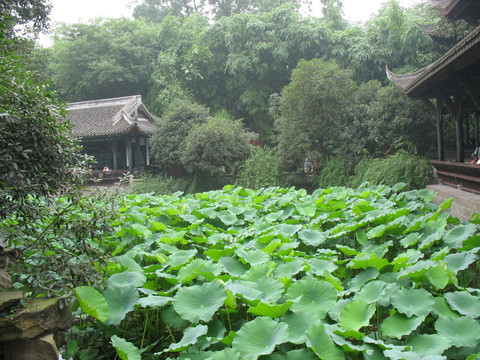 中式庭院