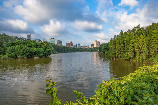 麓湖公园 公园 湖