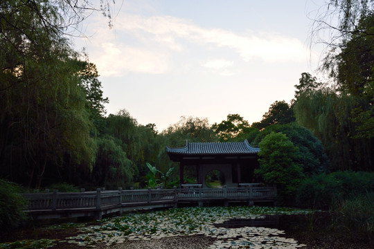 雨花台