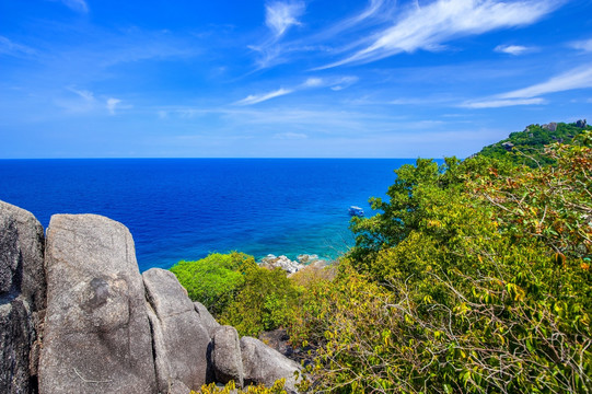 海岛 南园岛