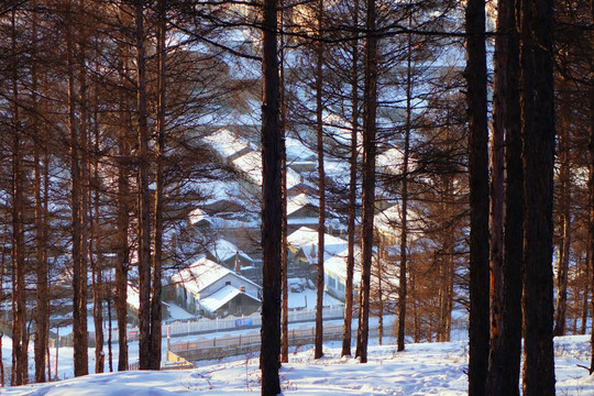 山村人家