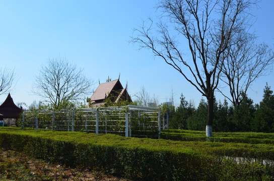 城市春景