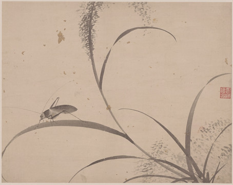 明 杜大成 花蝶草蟲