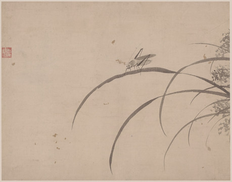 明 杜大成 花蝶草蟲