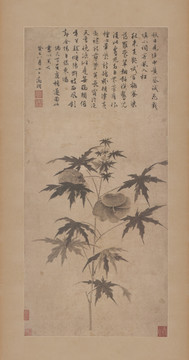 明 文徵明 秋葵折枝圖