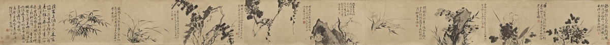 明 徐渭 墨花九段圖卷