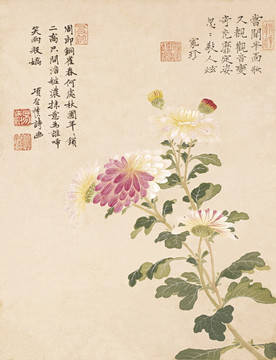 明 項(xiàng)圣謨花卉十開