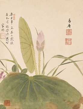 明 項(xiàng)圣謨花卉十開(kāi)