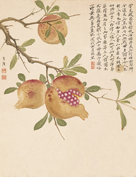 明 項(xiàng)圣謨花卉十開