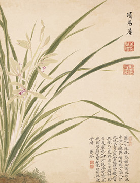 明 項(xiàng)圣謨花卉十開