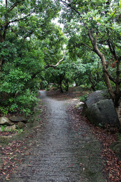 杨梅山