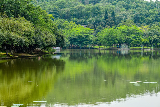 森林公园湖景