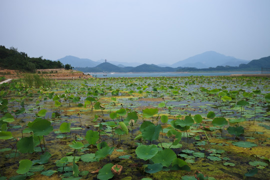 北京金海湖