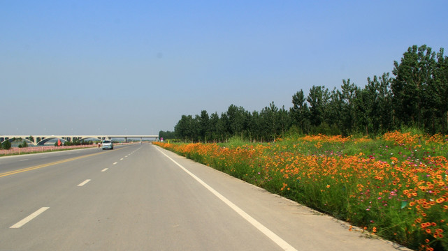 天路 道路绿化 景观路