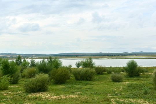 玉龙沙湖