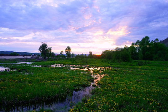 湿地小溪夕阳