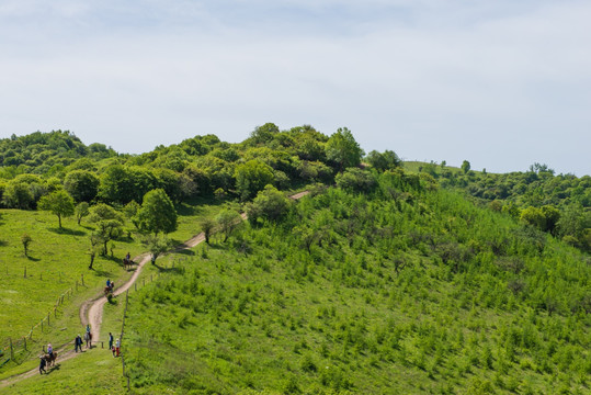 高山牧场