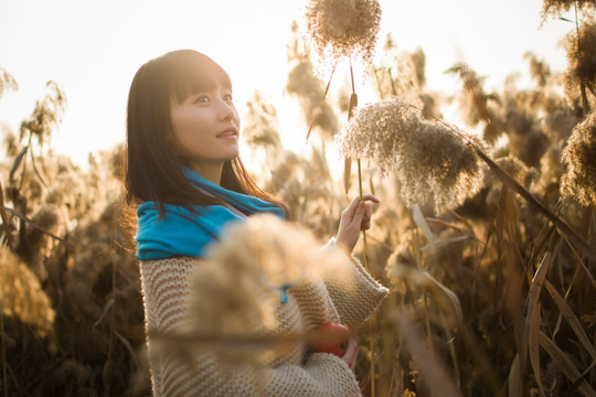 芦苇丛里的女孩