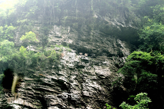 三峡悬棺