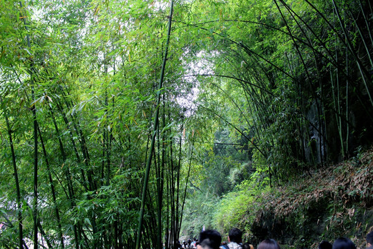 三峡人家