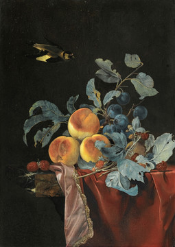 水果和鸟
