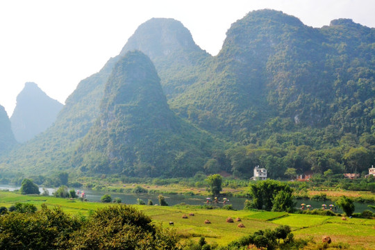 阳朔山水遇龙河