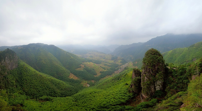 遂昌南尖岩天柱峰油菜花梯田