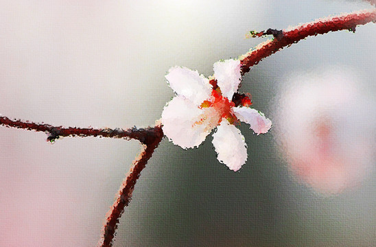 桃花油画