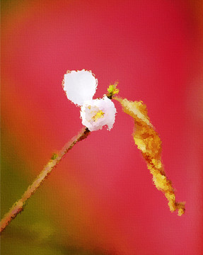桃花油畫
